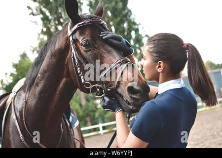 Nähe zu Händen von Frau umarmen ein Pferd. Junge Mädchen petting ihr Pferd im Stall. Equine Therapie Konzept. Die Liebe zwischen Menschen und Tieren. Stockfoto