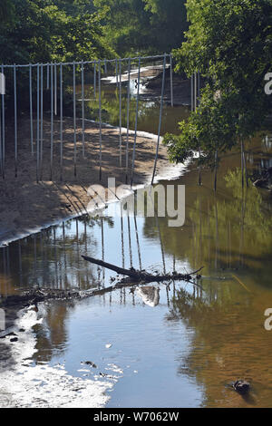 Vieh Water Guard Stockfoto