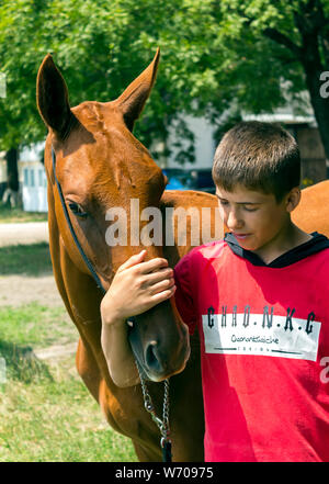 Porträt einer ACHALTEKKINER-teke Horse ahd-Trainer. Stockfoto