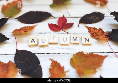 Herbst Wort und Blätter auf einem Holzbrett, weisser Hintergrund. Herbst Jahreszeit Konzept. Selektive konzentrieren. Stockfoto