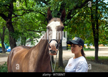 Porträt einer ACHALTEKKINER-teke Horse ahd-Trainer. Stockfoto