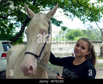 Porträt einer ACHALTEKKINER-teke Horse ahd-Trainer. Stockfoto