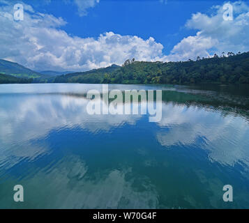Matupetty Dam und See, Munnar, Kerala, Indien Stockfoto
