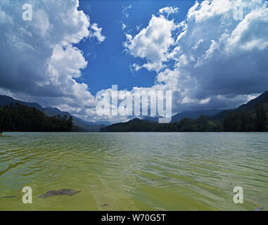 Matupetty Dam und See, Munnar, Kerala, Indien Stockfoto