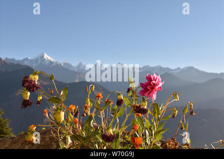 Nanda Devi Peak bei Sonnenaufgang, Chaukori, Uttarakhand, Indien Stockfoto