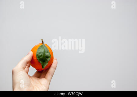 Ein einsames orange Meyer Zitrone mit ihren Samen oder Blatt und Schatten lassen in der Hand des kaukasischen Männer über einen weißen Hintergrund Stockfoto