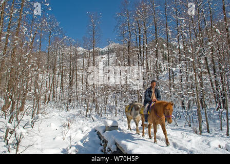 Solang Valley in Winter, Manali, Himachal Pradesh, Indien Stockfoto