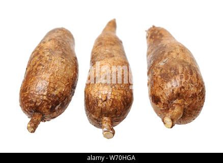 Drei yuca Wurzeln isoliert auf weißem Stockfoto