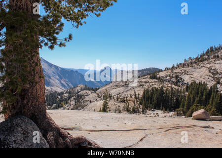 Olmsted Punkt entlang der Tioga Road, Yosemite National Park, bietet einen Blick in das Tenaya Canyon, besonders Half Dome und Tenaya Lake. Stockfoto