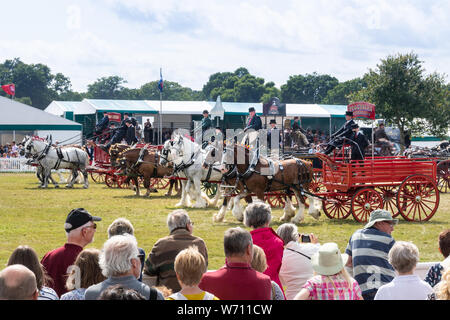 New Forest und Hampshire County Show 2019 - Die schweren Pferd musikalische Parade, die sich in der main Arena Stockfoto