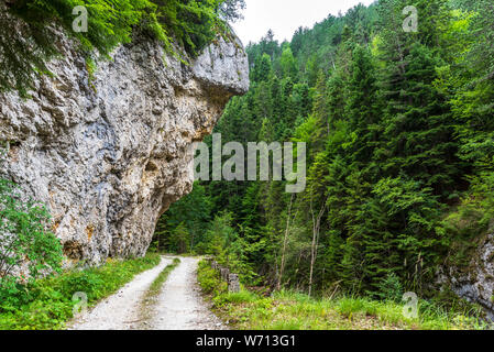 Landschaft mit einem Feldweg in den Pass mit Pinien und hohen Felsen Stockfoto