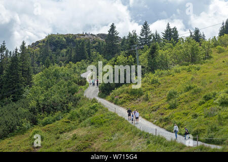 Wanderweg zum Gipfel, Großer Arber, Bayerischer Wald, Bayern, Deutschland Stockfoto