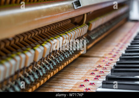 Details im Inneren des Klaviers mit Keyboards und Piano-string Stockfoto