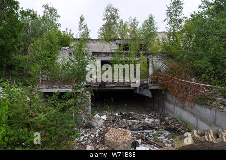 Bäume wachsen auf dem Dach. Eine Ruine mit Bäumen bewachsen. Birken wachsen auf ein Gebäude. Stockfoto