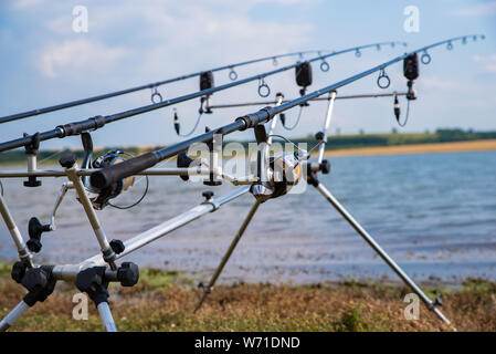 Suche entlang drei Karpfenruten hin zu einem Teich. Karpfen angeln. Stockfoto