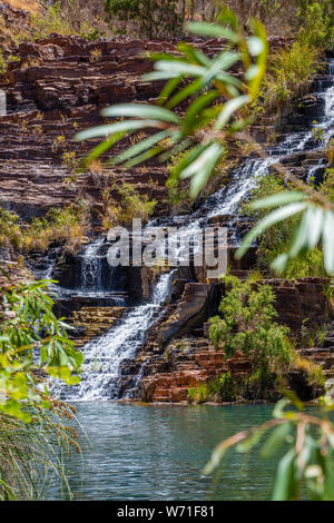 Wasser über natürliche Schritte von Sediment Rock bei Fortescue Falls an der Unterseite der Dales Gorge Karijini National Park Australien hetzen Stockfoto