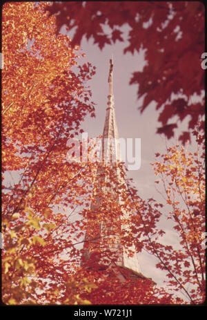 Kirchturm umrahmt von Sugar maple FALLEN PUTZ AN Stockfoto