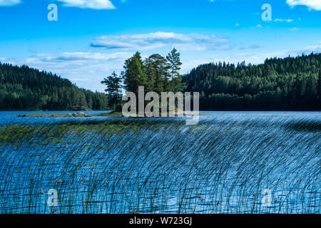 Von Storön mögreven See Insel, Värmland, Schweden Stockfoto