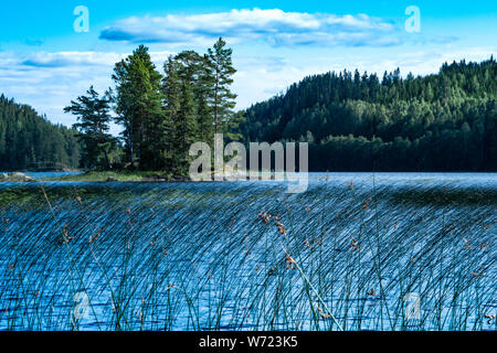 Von Storön mögreven See Insel, Värmland, Schweden Stockfoto