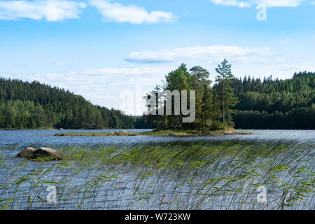 Von Storön mögreven See Insel, Värmland, Schweden Stockfoto