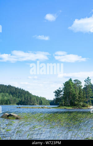 Von Storön mögreven See Insel, Värmland, Schweden Stockfoto