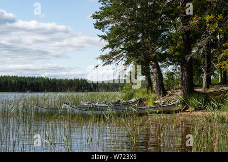 Von Storön mögreven See Insel, Värmland, Schweden Stockfoto