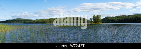 Von Storön mögreven See Insel, Värmland, Schweden Stockfoto