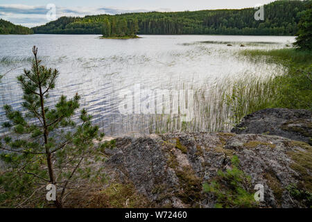 Von Storön mögreven See Insel, Värmland, Schweden Stockfoto