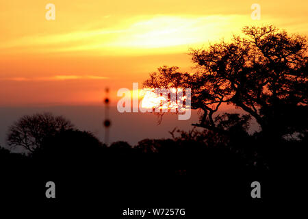 Dawn im Krüger Nationalpark mit roten, hellen Himmel Stockfoto