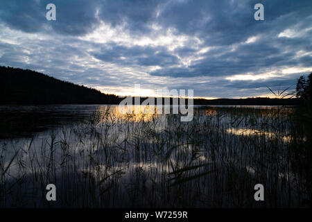 Von Storön mögreven See Insel, Värmland, Schweden Stockfoto