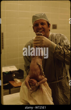 DR. MILTON KAISER, EIN TEILNEHMER VON DR. HOWARD VOGEL und Dr. Ann Vogel, HÄLT EIN NEUGEBORENES BABY BALD NACH DER KAISERSCHNITT IN UNION HOSPITAL in New Ulm, Minnesota. Seit dieser Zeit alle Geburten wurden durchgeführt an LORETTO KRANKENHAUS. Zwei MEDIZINISCHE EINRICHTUNGEN DER STADT UNTERTEILT IHRE DIENSTLEISTUNGEN ZU SPEZIALISIEREN UND EFFIZIENTER SERVICE. Die VOGELS SIND NACHKOMMEN VON DER STADT PIONEER FAMILIEN NEUE ULM wurde im Jahre 1854 durch eine Gruppe von deutschen Einwanderern gegründet Stockfoto