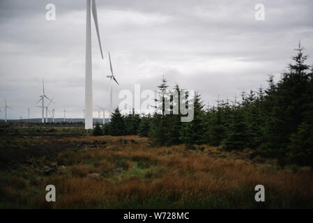 Turbinen auf dem Moor neben einem Wald am Schwarzen Gesetz Windfarm. Stockfoto