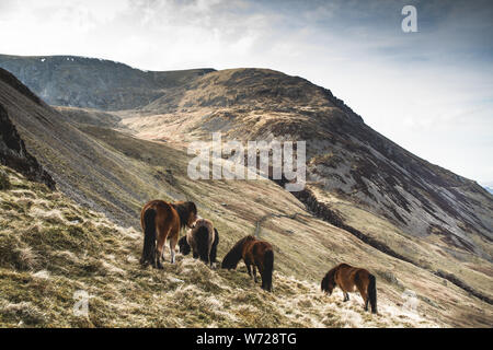 Eine Wanderung rund um den See Idwal, Snowdonia, Wales, Vereinigtes Königreich Stockfoto