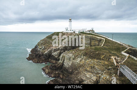 Mit Blick auf die South Stack Light House Anglesea, Holyhead, Wales, Vereinigtes Königreich Stockfoto