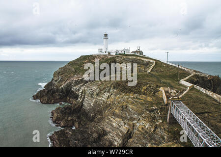 Mit Blick auf die South Stack Light House Anglesea, Holyhead, Wales, Vereinigtes Königreich Stockfoto