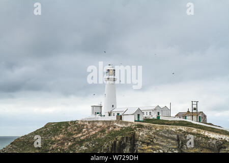 Mit Blick auf die South Stack Light House Anglesea, Holyhead, Wales, Vereinigtes Königreich Stockfoto