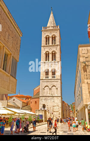 Glockenturm von St. Anastasia Kathedrale in der Altstadt von Zadar, Kroatien. Stockfoto