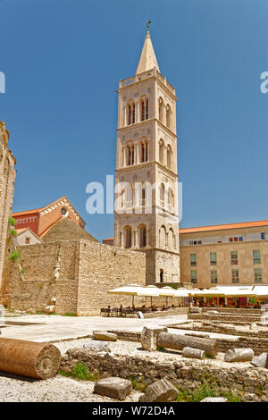 Glockenturm von St. Anastasia Kathedrale in der Altstadt von Zadar, Kroatien. Stockfoto