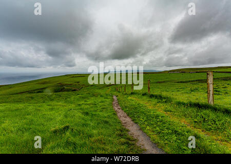 Irische Landschaft der spektakulären Küstenstraße zu Fuß von Doolin zu den Klippen von Moher, geosites und Geopark, wilden Atlantik, bewölkt Frühling Stockfoto