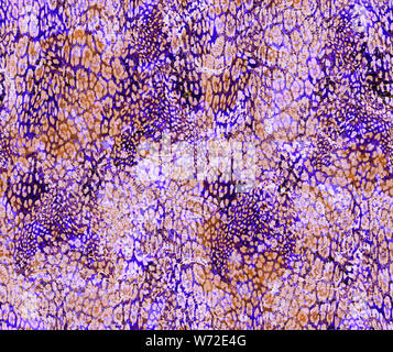 Traditionelles indisches Paisley mit Leopard Haut. Nahtlose Muster. Stockfoto