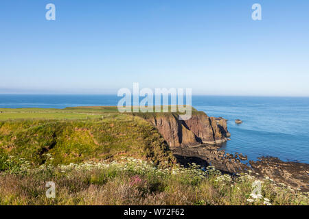 Schottische Küste in der Nähe von Dunnottar Castle in Schottland, in Aberdeenshire Stockfoto