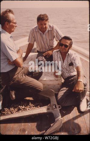 LAKE BORGNE OYSTERMEN Anspruch auf Freigabe des Mississippi Flusses HOCHWASSER HAT IHRE AUSTERNBÄNKE verunreinigt. Einige DER MÄNNER SIND DIE VORBEREITUNG EINER GESETZLICHEN DEPOSITION. An Bord KAPITÄN PETER TESVICH'S BOAT SIE SAMMELN BEWEISE FÜR IHREN FALL Stockfoto