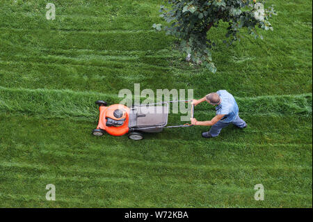 Der Mensch schneidet den Rasen. Rasenmähen. Luftaufnahme Rasenmäher auf grünem Gras. Rasenmäher. Mähwerkzeug Stockfoto