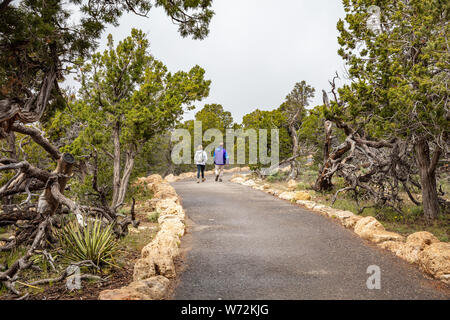 Grand Canyon, Arizona, USA. 22. Mai 2019. Junges Paar zu Fuß auf den South Rim Pfad, bewölkter Himmel Stockfoto