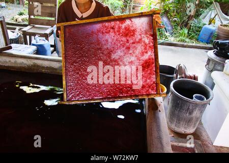 Frau mit Rohstoff in einem Frame für Papier Sonnenschirme am Bo Sang Dorf fest, Chiang Mai, Thailand Stockfoto