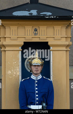 Royal Guards (högvakten), König der Schwedischen Kavallerie und Infanterie Wachen der Ehre der schwedischen Streitkräfte Stockfoto