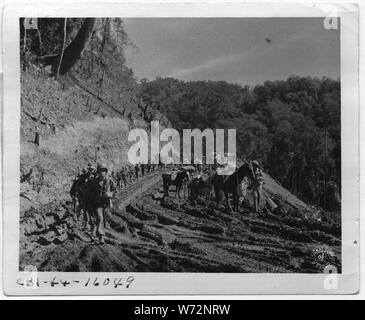 Die amerikanischen Truppen von Merrill's Marauders und der Chinesischen März Seite an Seite durch die ledo Road. Stockfoto