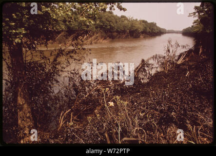 Ölpest am Schuykill River, 5. Juli 1972, nach dem Hurrikan Agnes, ÜBERDACHTE GRÜN AM UFER. (Aus dem DOCUMERICA-1 AUSSTELLUNG Stockfoto