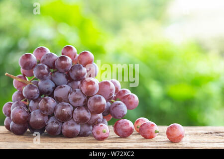 Bündel von reifen roten Trauben auf Holztisch mit grünen Raum blur Hintergrund Stockfoto