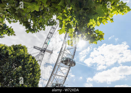 London/UK, 15. Juli 2019 - Das London Eye durch belaubte Bäume gegen einen schönen blauen Himmel Stockfoto